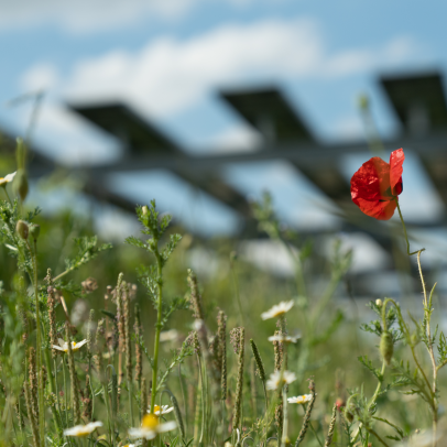 Parc solaire à Bordeaux en Nouvelle-Aquitaine, mai 2023. Crédit : Romain Bau / Mon Petit Film.